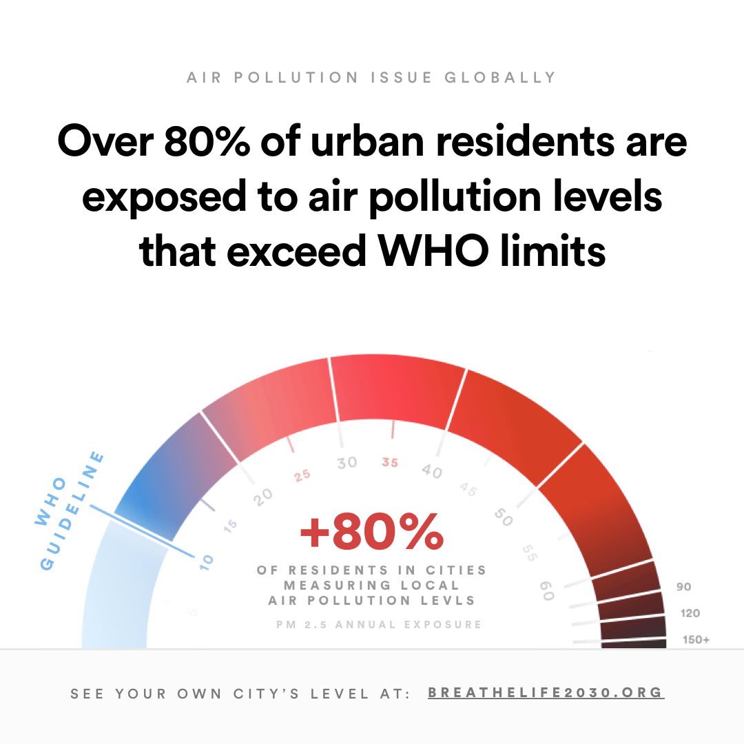 80_percent-of-steden