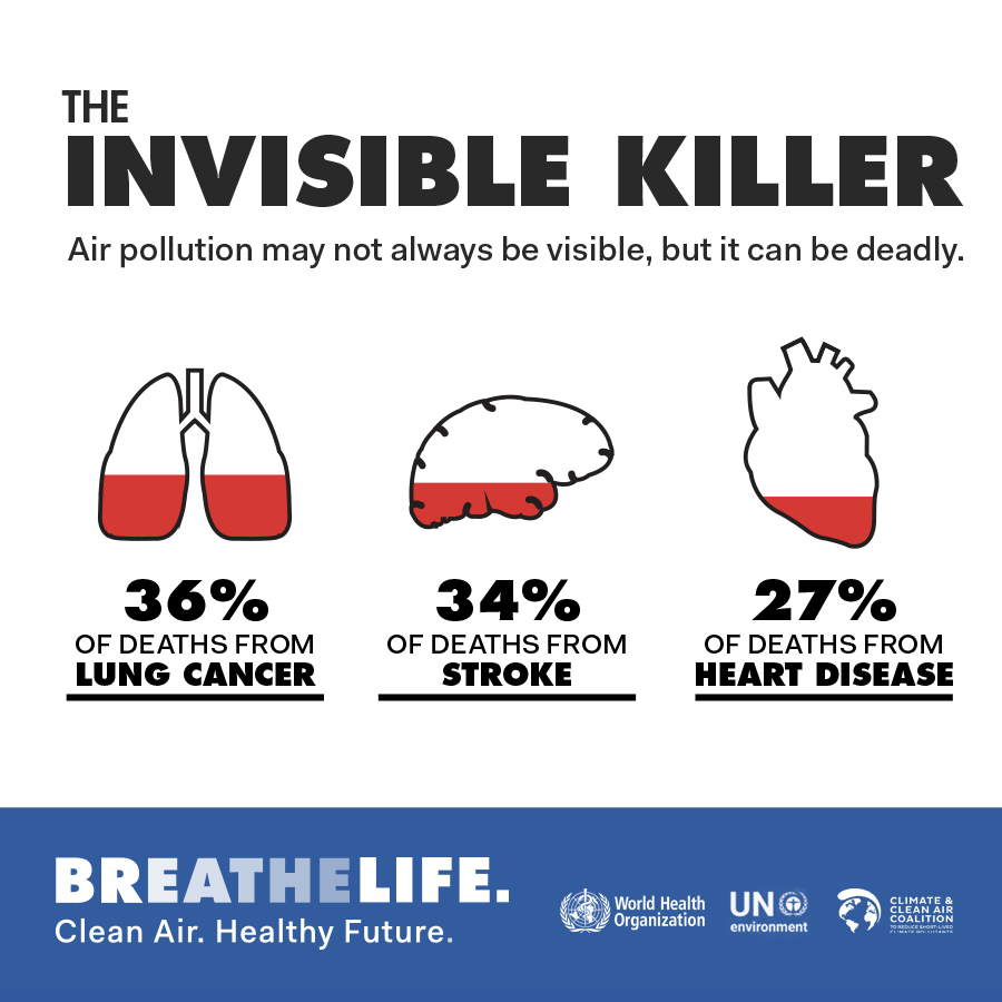 Invisiblekiller Breathelife 2030 - 