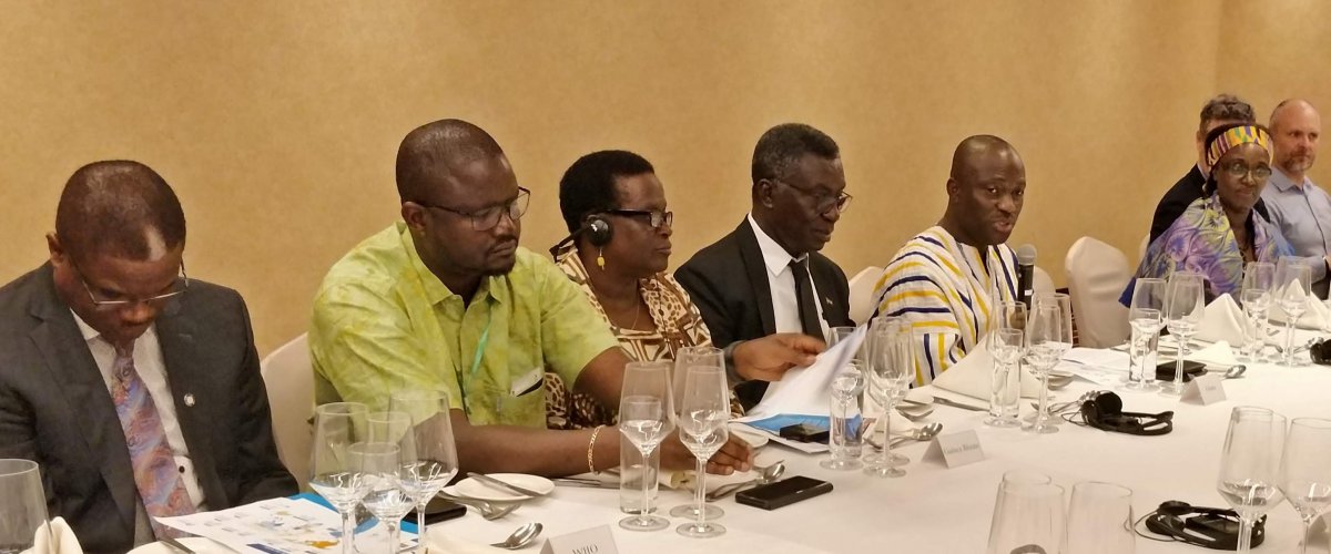 Ghana leads highlevel roundtable on climate and clean air actions