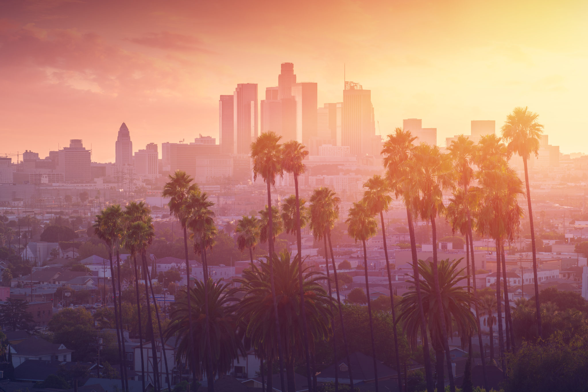Los Angeles hot sunset view with palm tree and smog over downtown in background.