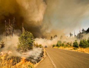 Пожарът на Джоунс близо до Лоуел, Орегон, САЩ.