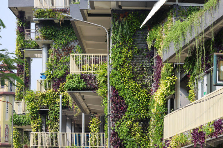 View of Plant Placement