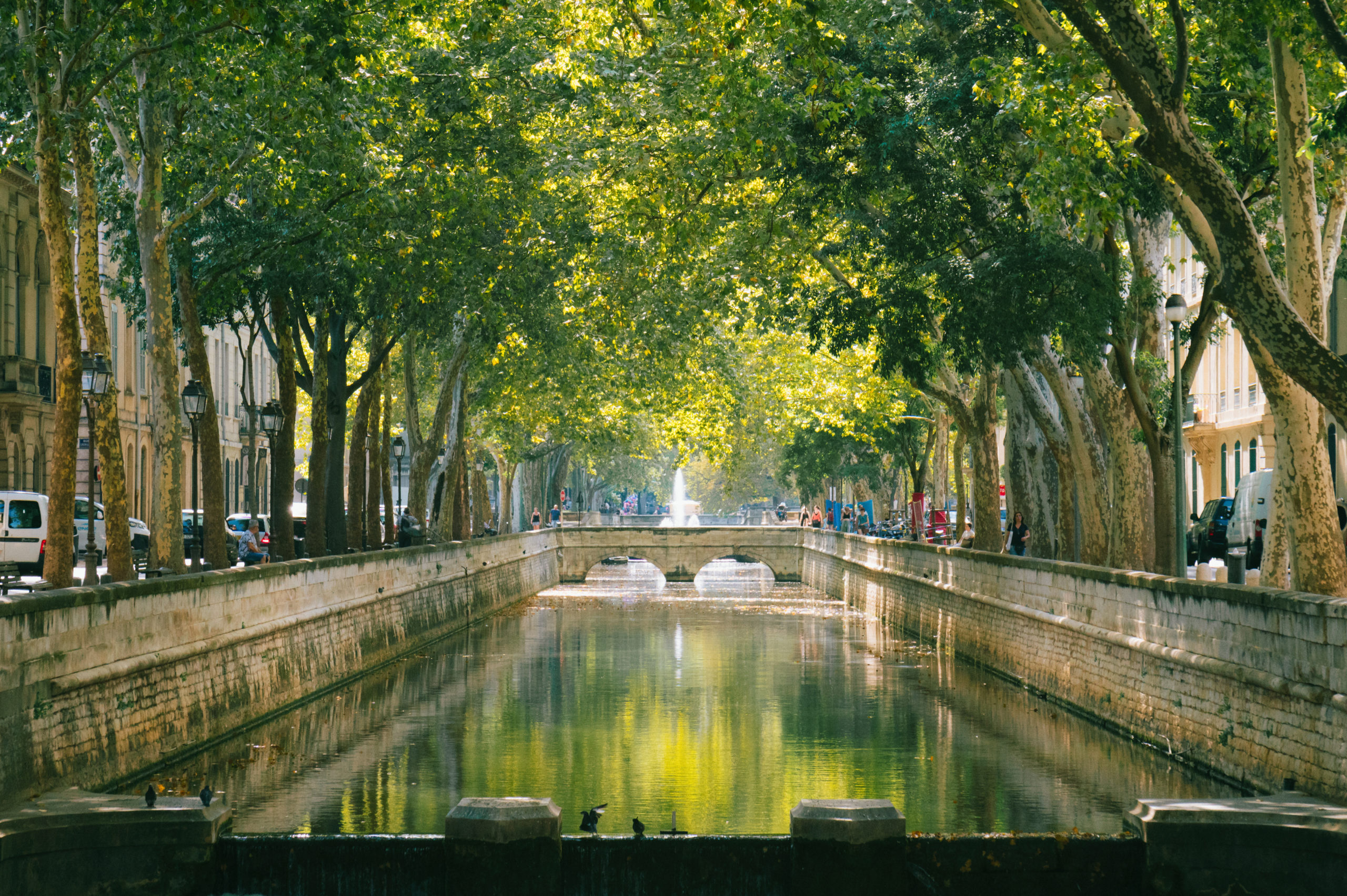 AdobeStock_514600188-scaled.jpeg - Improving Air Quality Urban Green Spaces
