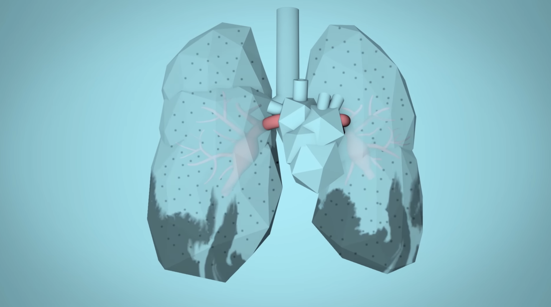 Video: How air pollution impacts our body